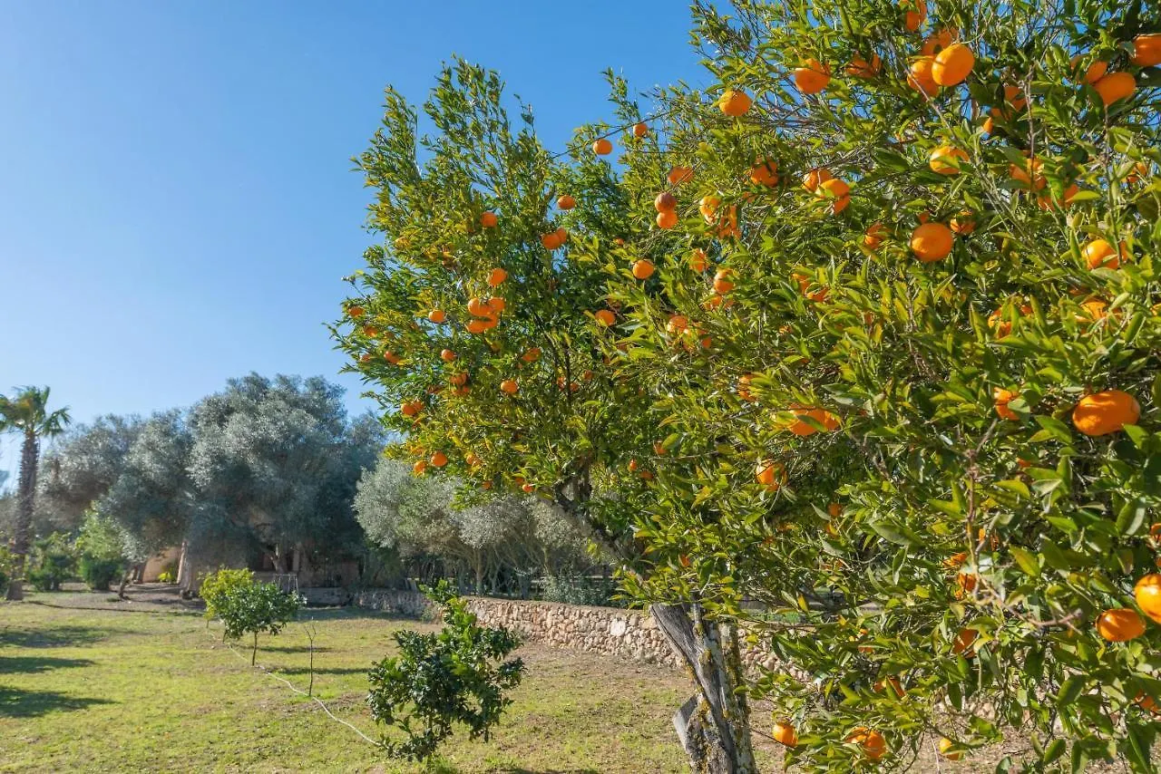 Villa Son Brun Manacor  Spain